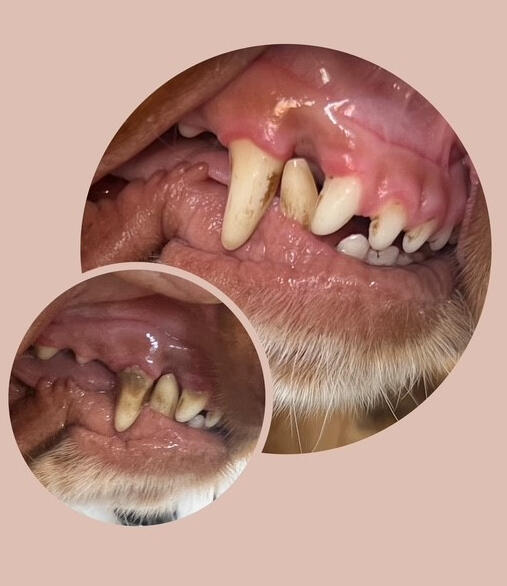 Client 3- 2nd session results
