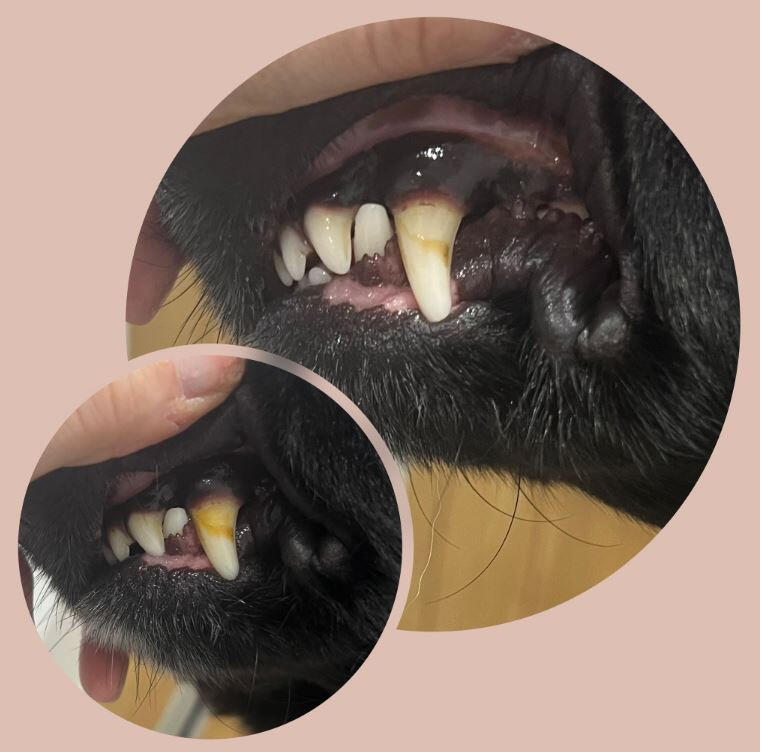 Client 2- 1st session results